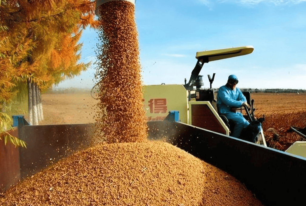 皇冠信用网开户_对华出口下降70%!特朗普大打出手皇冠信用网开户,没想到第一个倒下的竟是自己人