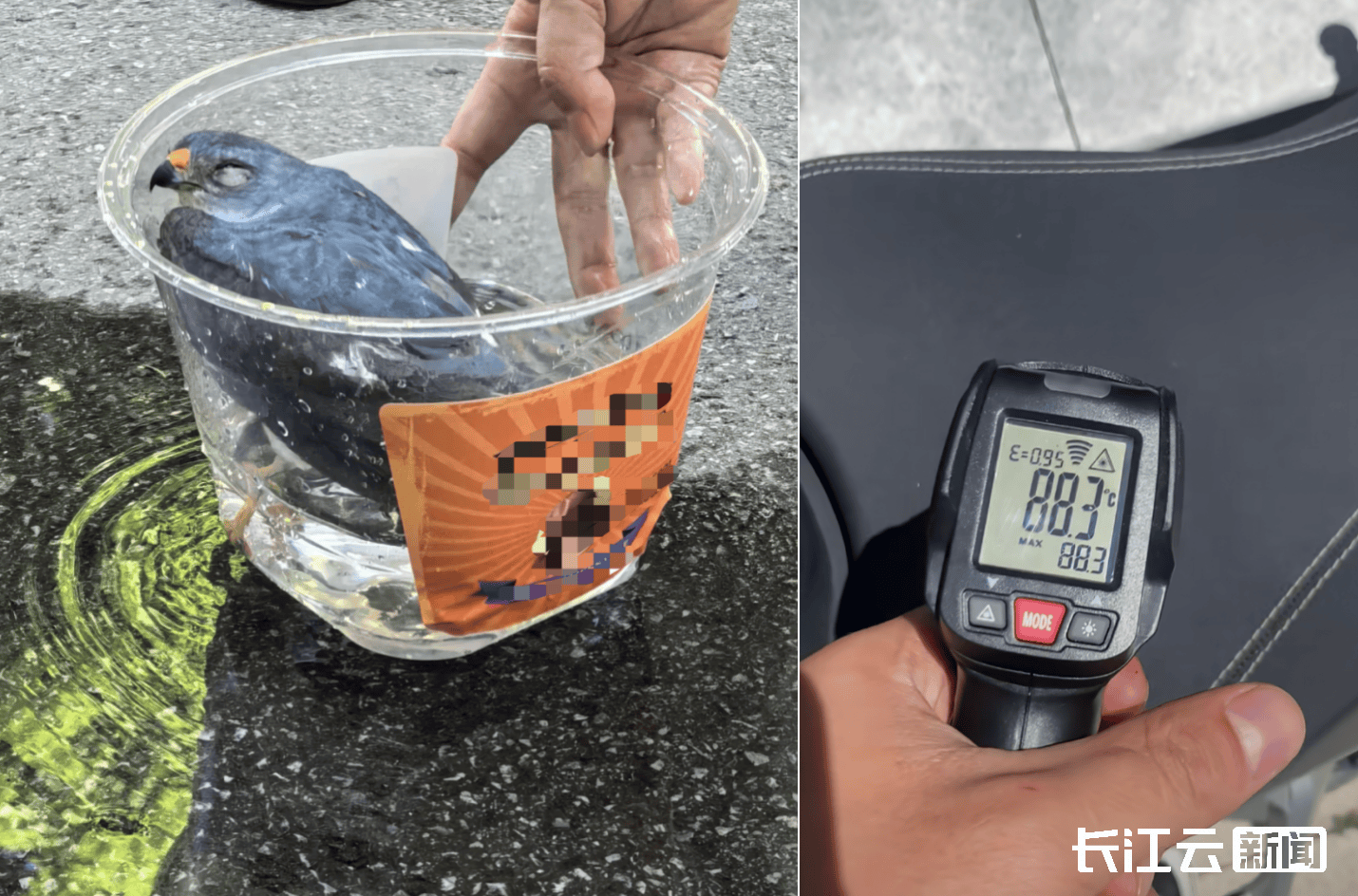 皇冠皇冠信用平台_最高39.5℃皇冠皇冠信用平台!湖北未入伏为何这么热?降雨就在……