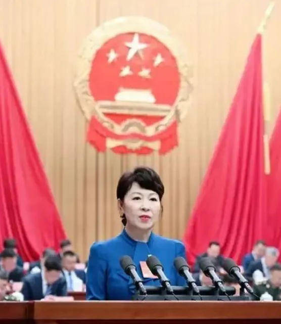 AC米兰vs克雷莫内塞
_“换装主席”王莉霞的堕落：从光鲜人设到腐败深渊