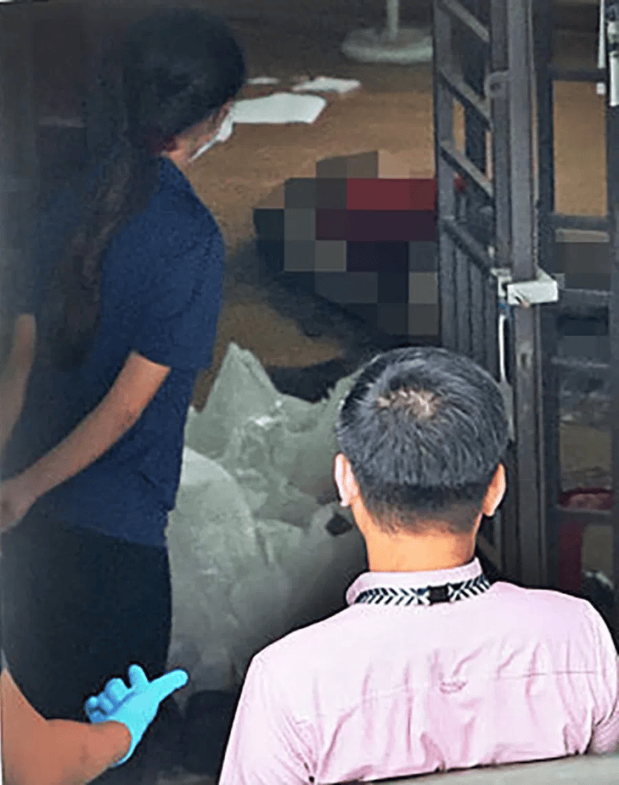 皇冠会员如何申请_新加坡现双尸案：父亲成白骨皇冠会员如何申请，剑桥博士女儿疑饿死，一家来自东北