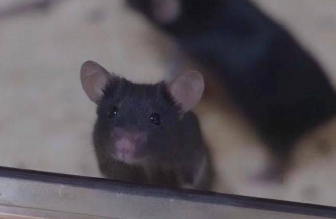 皇冠信用網注册开户
_神舟二十一号升空！现在的问题是皇冠信用網注册开户
，导师上天了，组会还开吗？