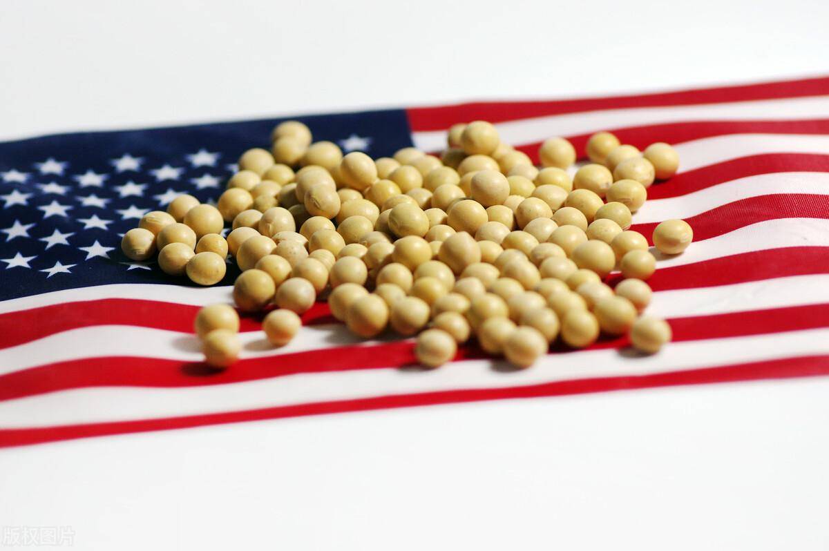 如何代理皇冠信用盘
_43万吨美国大豆将运往中国如何代理皇冠信用盘
，贝森特放话：下周签协议，中国将买1200万吨大豆！