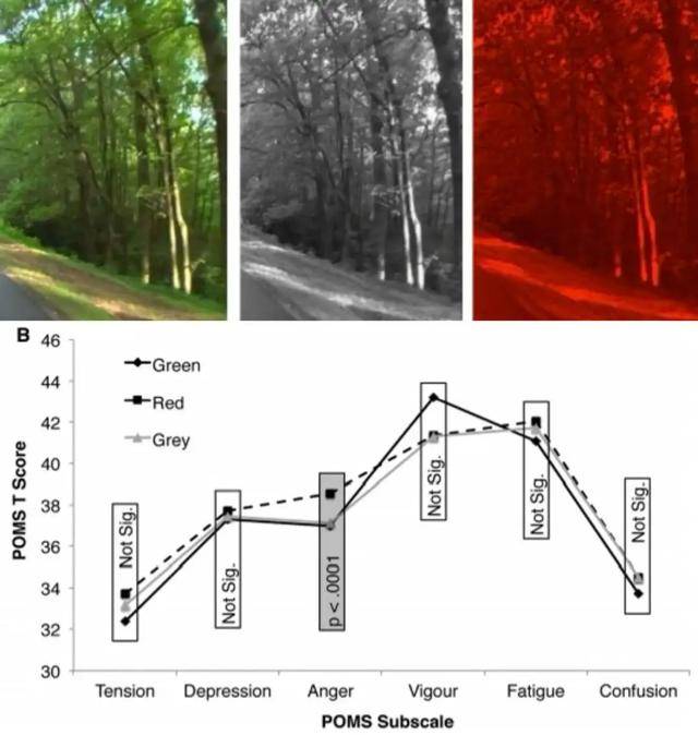 皇冠信用网平台出租
_年代剧的墙皇冠信用网平台出租
，为什么都是上白下绿？