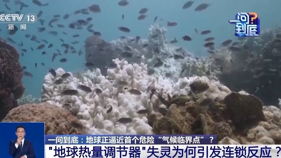 皇冠信用网怎么申请
_地球正逼近首个危险“气候临界点”皇冠信用网怎么申请
，会带来哪些影响？