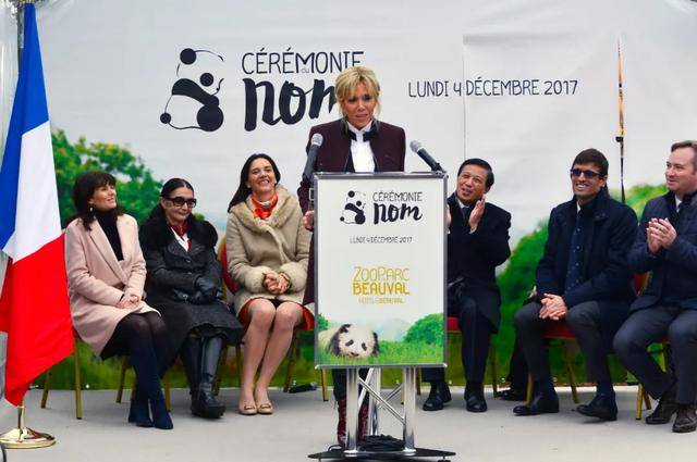 怎么申请皇冠信用网
_访华结束前怎么申请皇冠信用网
，马克龙把熊猫弄到手了