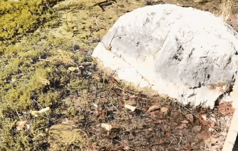 皇冠登一登二登三区别
_一游客在九寨沟乱扔玉米棒皇冠登一登二登三区别
，辩称“大自然的东西回大自然” 景区：明确禁止乱扔垃圾