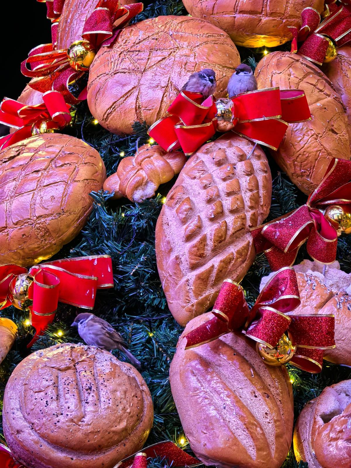 皇冠信用盘哪里申请
_哈尔滨一大列巴面包树成麻雀过冬粮仓皇冠信用盘哪里申请
,设计师:一百多个面包做成,已有两年