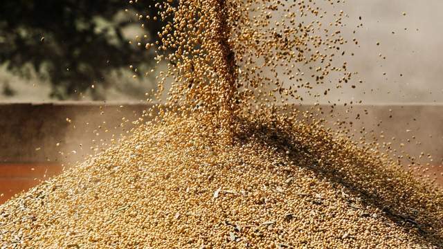 皇冠信用网庄家_中国采购800万吨美国大豆皇冠信用网庄家,美媒争相“报喜”,实则中美角色已互换